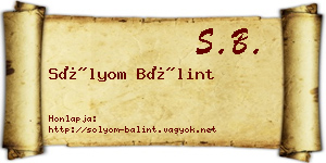 Sólyom Bálint névjegykártya