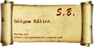 Sólyom Bálint névjegykártya